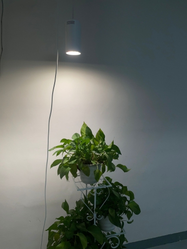 Private Toooling Full Spectrum 40W LED Hanging Grow Lights