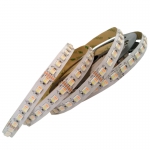 DC 24V 96led/m 5 in1 Color Changing RGBCCT LED strip light