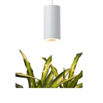 Private Toooling Full Spectrum 40W LED Hanging Pendant Grow Light